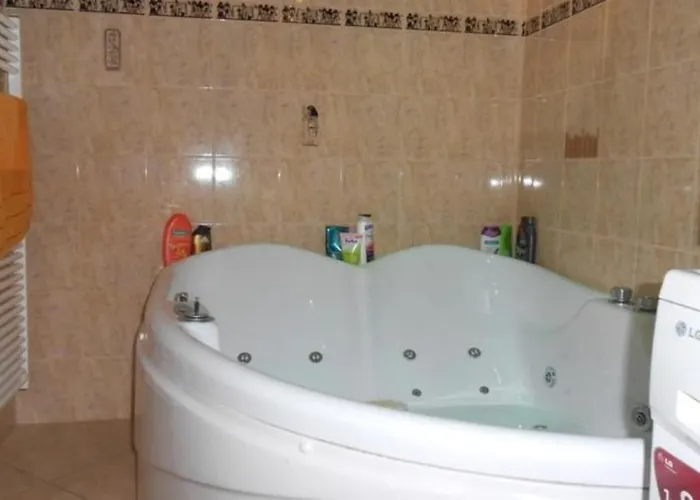 Tatil Evi Schoenes Mit Grossen Pool 250 M Vom Balaton