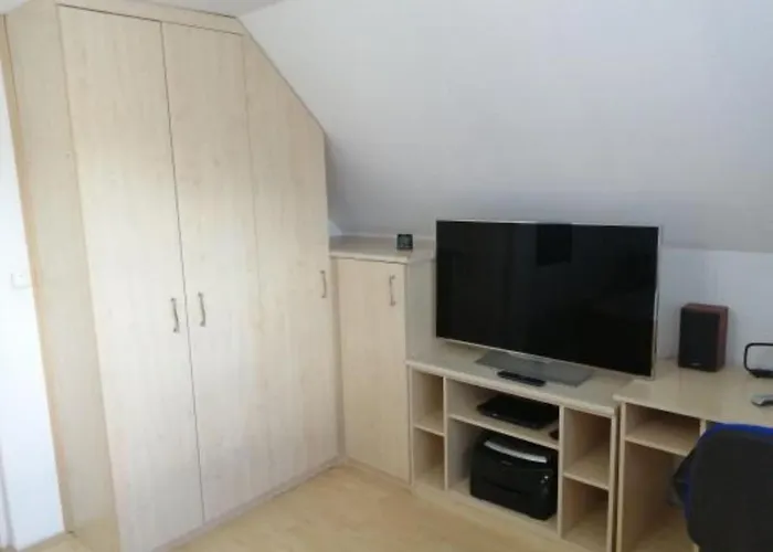 Tatil Evi Schoenes Mit Grossen Pool 250 M Vom Balaton